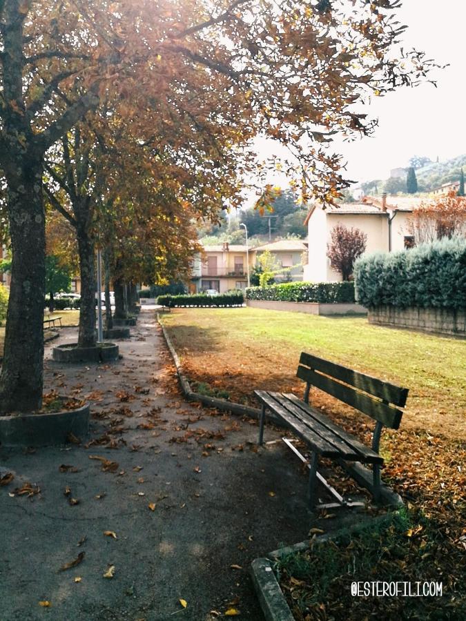 B&B Esterofili Carmignano Dış mekan fotoğraf