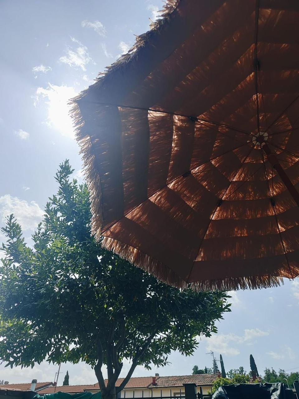 B&B Esterofili Carmignano Dış mekan fotoğraf